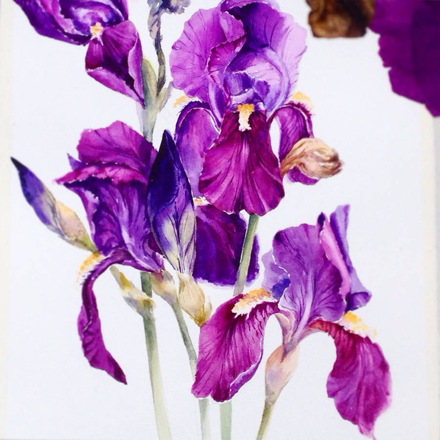 900x900 Poetic Amp Realistic Flowers Watercolor Paintings Fubiz Media - Realistic Watercolor Flowers