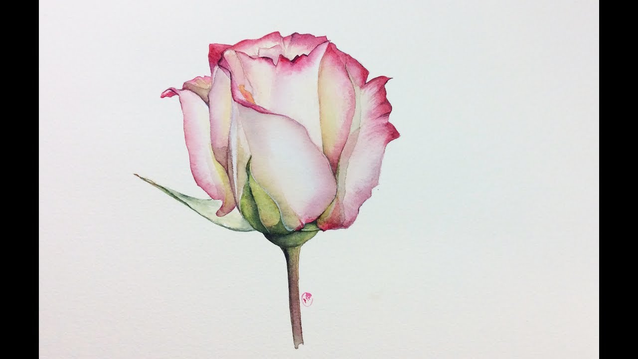 1280x720 Realistic Rose In Watercolor Painting Tutorial - Realistic Watercolor Flowers