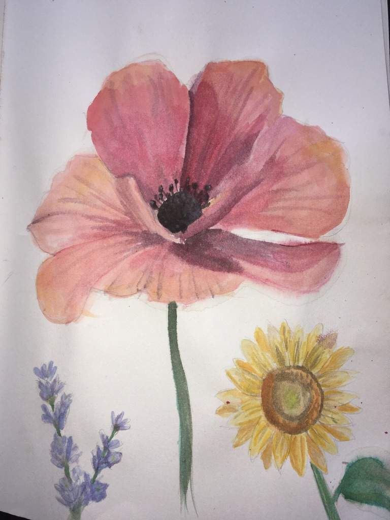 768x1024 Realistic Watercolor Flowers Amino - Realistic Watercolor Flowers