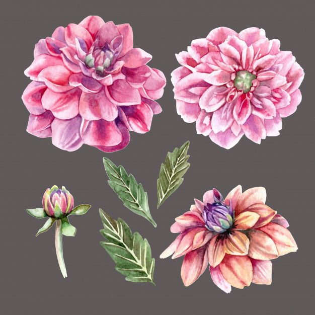 Realistic Watercolor Flowers at PaintingValley.com | Explore collection ...