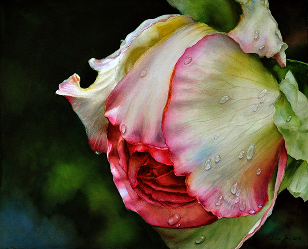 624x505 Rose De Balzac Watercolor Amp Oil Paintings Of Roses And - Realistic Watercolor Flowers