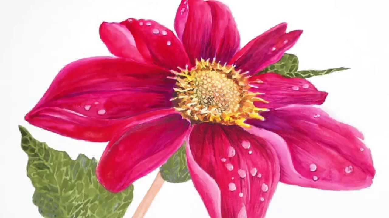 1280x720 Watercolor Flower Series - Realistic Watercolor Flowers