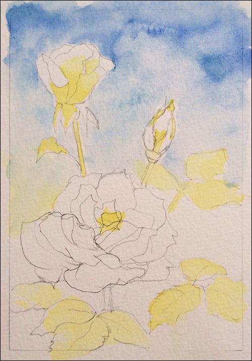 500x715 How To Paint Realistic Watercolor Roses Watercolors - Realistic Watercolor Painting Techniques