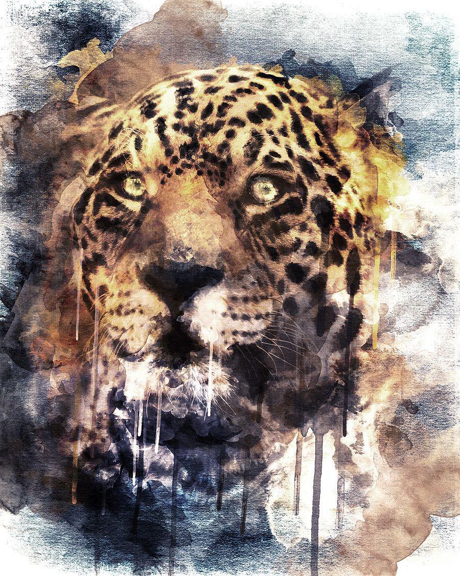 900x1125 Realistic Watercolor Painting Tutorial In Photoshop Drawings - Realistic Watercolor Painting Techniques