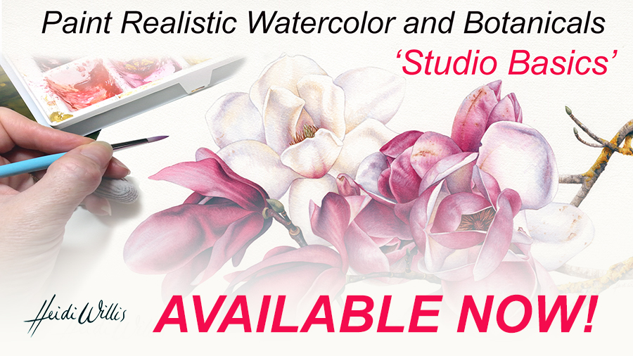 900x506 Online Watercolor And Botanical Painting Tutorial ~ Studio Basics - Realistic Watercolor Painting Tutorial