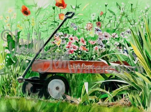 500x371 Flower Garden, Vinca, Poppies, Red Wagon, By Steinwatercolors - Red And Green Watercolor
