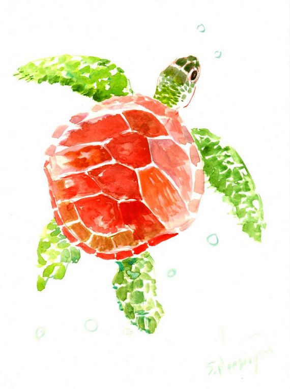 570x765 Red Green Sea Turtle Painting, 12 X 9 In, Sea Animal Art, Animal - Red And Green Watercolor