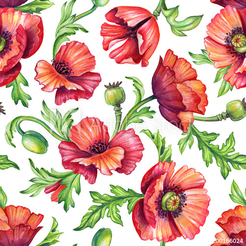 500x500 Seamless Poppy Pattern, Botanical Background, Watercolor Texture - Red And Green Watercolor