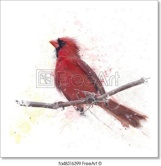 561x581 Free Art Print Of Male Northern Cardinal Watercolor. Digital - Red Bird Watercolor