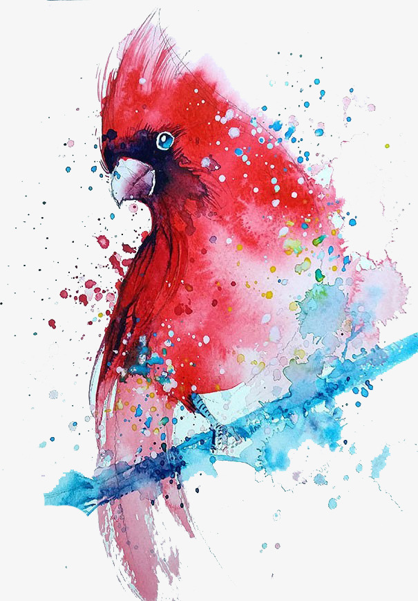 605x869 Red Bird, Bird, Red, Watercolor Png And Vector For Free Download - Red Bird Watercolor