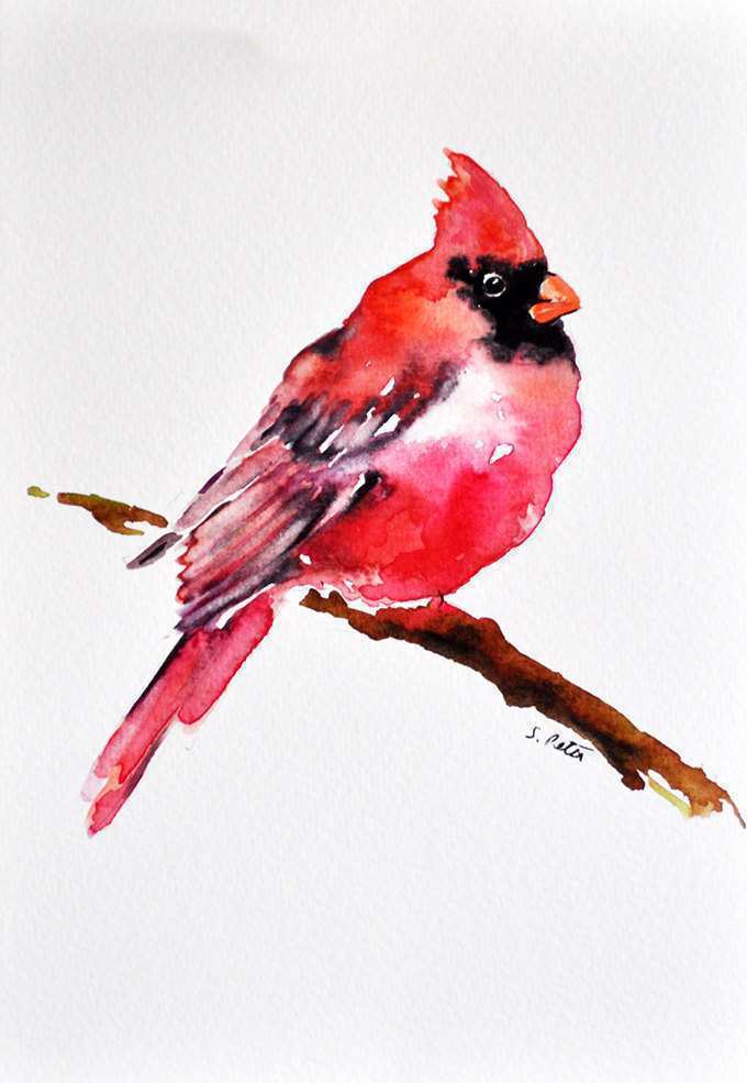 680x985 Red Bird Painting Fresh Original Watercolor Bird Painting Red - Red Bird Watercolor