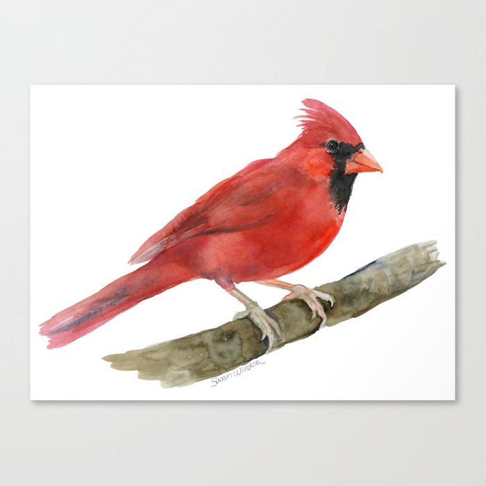 700x700 Red Cardinal Watercolor Canvas Print By Susanwindsor Society6 - Red Bird Watercolor