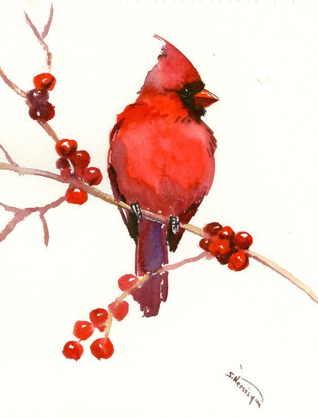 627x825 Red Cardinal Bird Art Red Christmas Wall Art, Original Watercolor - Red Bird Watercolor