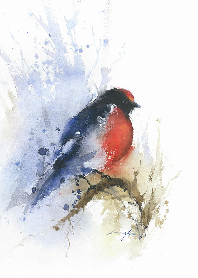 643x900 Robin Bird Watercolor Painting Print, Red And Black Birds Print - Red Bird Watercolor