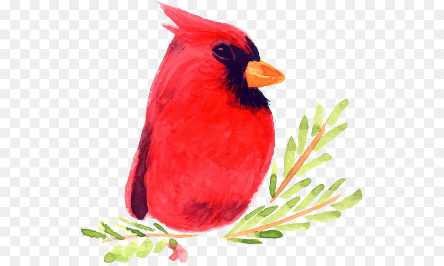 900x540 Bird Watercolor Painting Illustration - Red Bird Watercolor