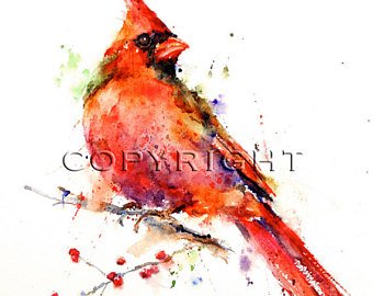 340x270 Cardinal Watercolor Etsy - Red Bird Watercolor