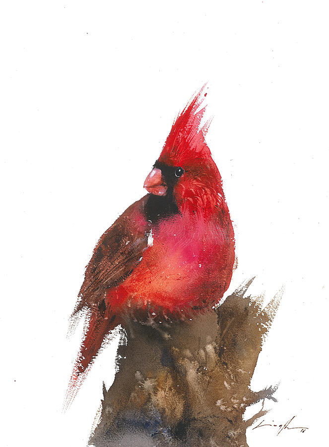 663x900 Christmas Bird Red Cardinal Painting By Nitin Singh - Red Cardinal Watercolor
