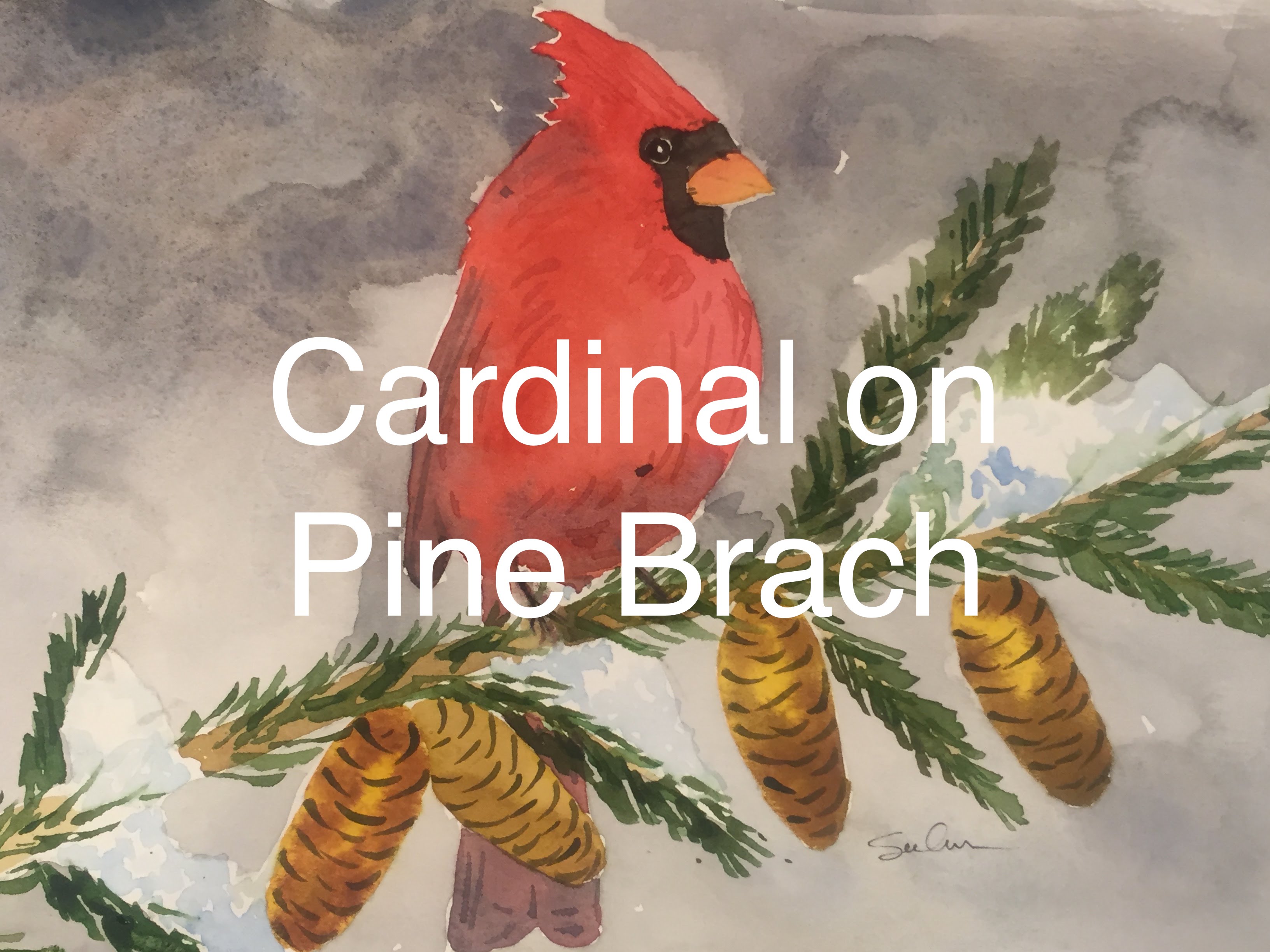 3264x2448 How To Paint A Cardinal In Watercolour Watercolor Winter Pine - Red Cardinal Watercolor