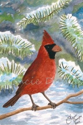 264x400 Original Painting Watercolor 4x6 Bird 70 Red Cardinal Winter Art - Red Cardinal Watercolor