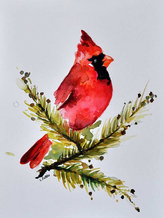 570x757 Red Bird Painting Awesome Original Watercolor Bird Painting Red - Red Cardinal Watercolor
