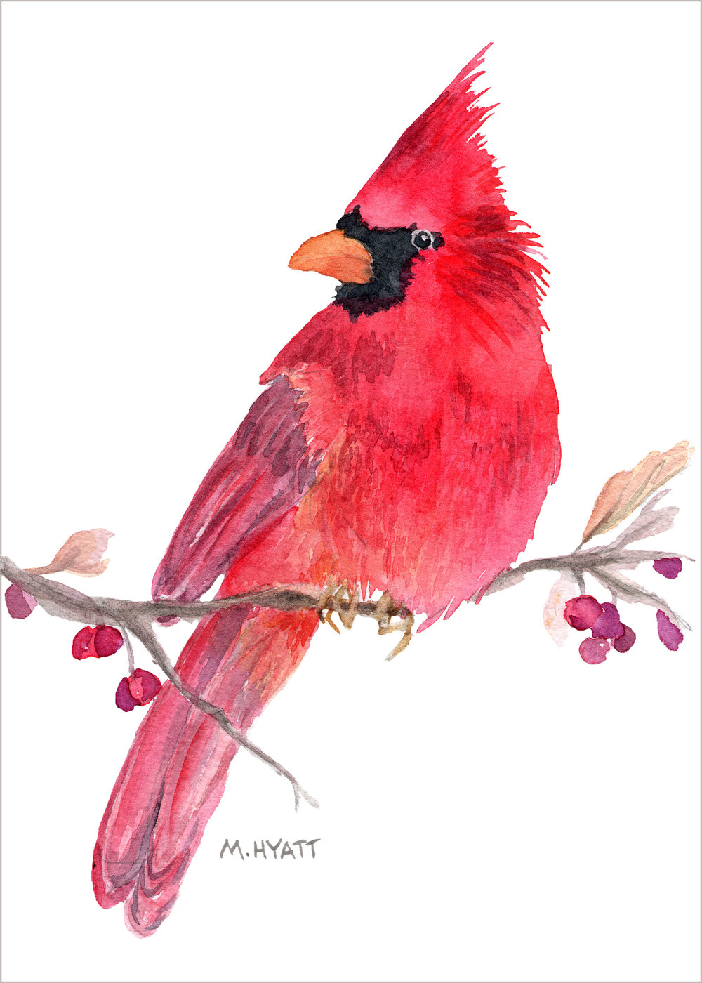 1000x1400 Red Cardinal 8x10 Glicee Print Melissa Hyatt Artist - Red Cardinal Watercolor