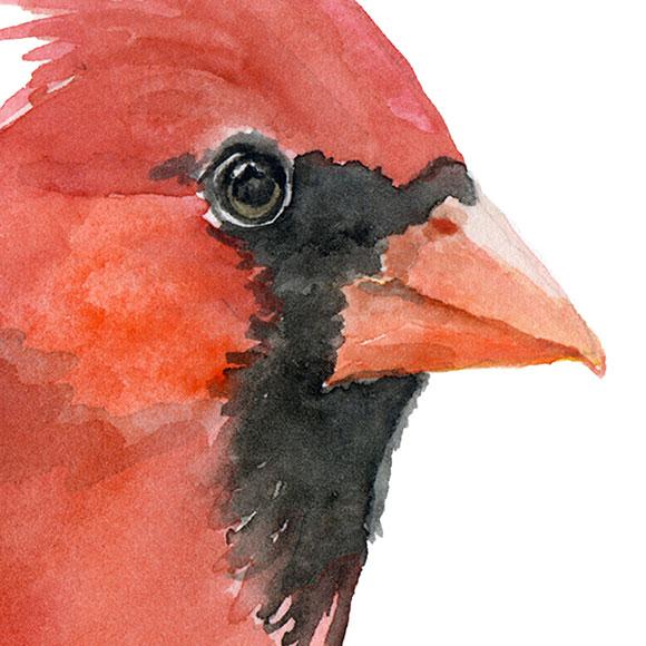 580x580 Red Cardinal Original Watercolor Painting Susan Windsor - Red Cardinal Watercolor
