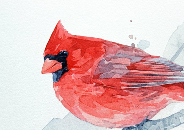 642x455 Red Cardinal Watercolor Art Print 5x7 Bird Painting Wall Art Etsy - Red Cardinal Watercolor