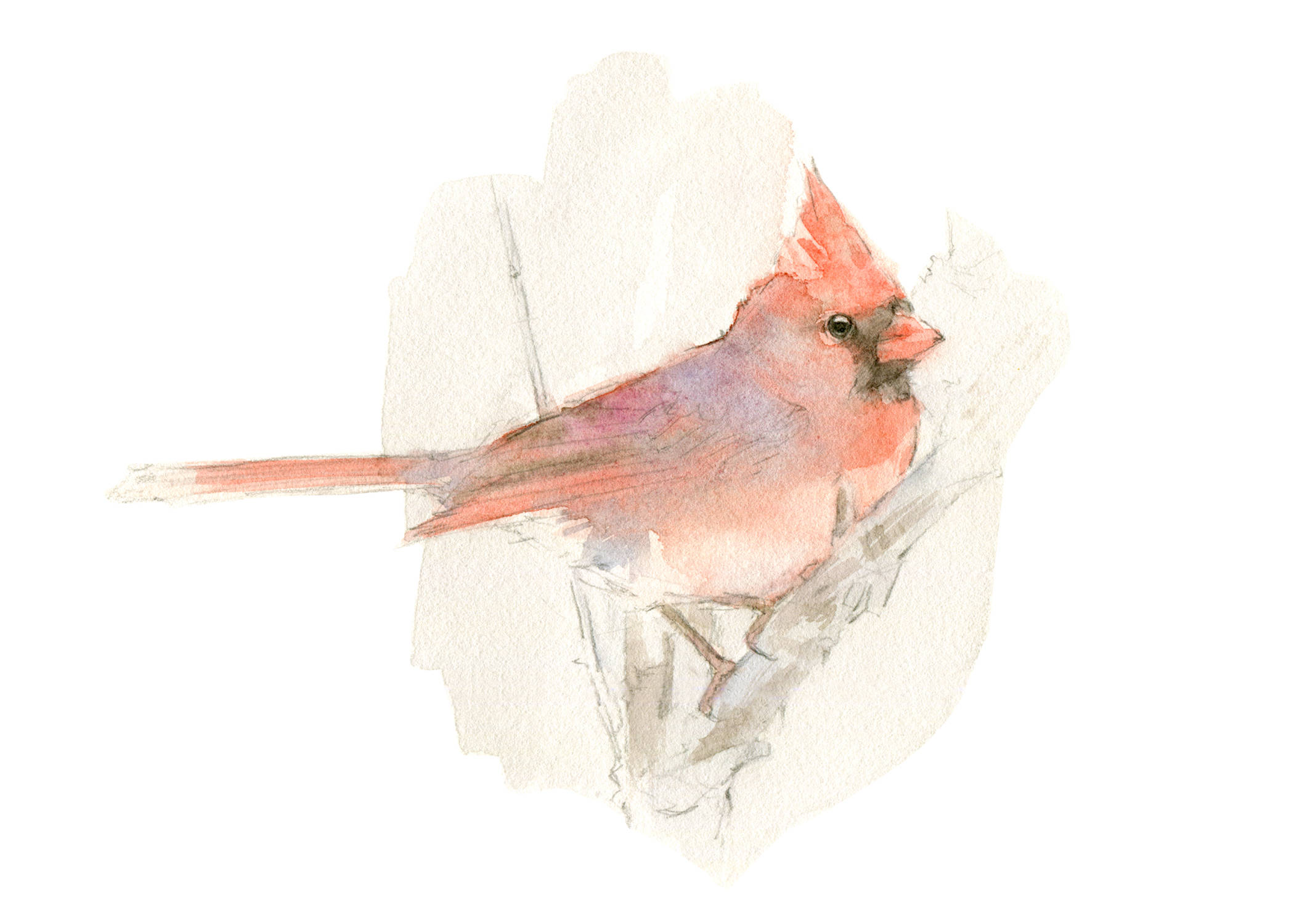 2100x1500 Red Cardinal Watercolor Painting Bird Watercolor Painting Etsy - Red Cardinal Watercolor