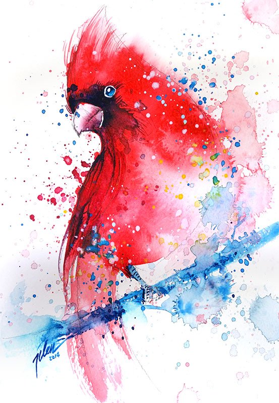553x800 Tilen Ti - Red Cardinal Watercolor