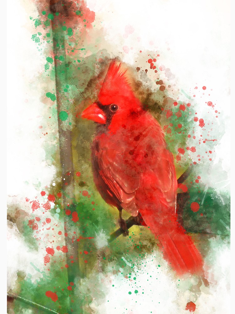 750x1000 Cardinal Bird, Cardinal, Red Cardinal, Watercolor Cardinal - Red Cardinal Watercolor