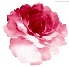 236x230 9937 Best Watercolor Flowers Images In 2018 - Red Flower Watercolor