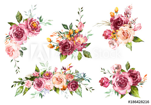 500x347 Set Watercolor Flowers. Hand Painted Floral Illustration. Bouquet - Red Flower Watercolor