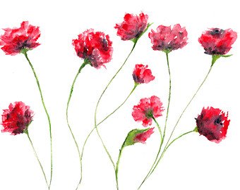 340x270 Watercolor Flower Painting Watercolor Painting Flower Print Etsy - Red Flower Watercolor