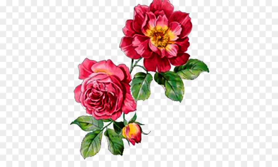 900x540 Watercolour Flowers Rose Watercolor Painting - Red Flower Watercolor