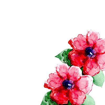 400x400 Two Red Flower On A White Background. Watercolor Two Red - Red Flower Watercolor