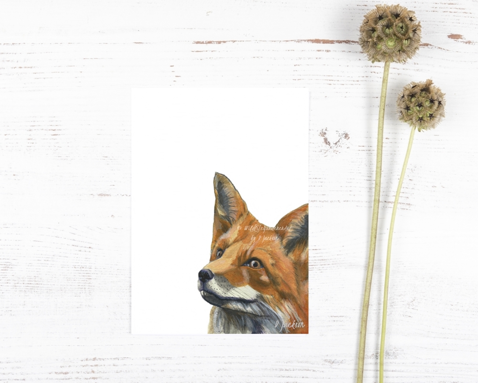 1600x1284 Red Fox Watercolor Archival Art Print Wildlife Gardener Art - Red Fox Watercolor