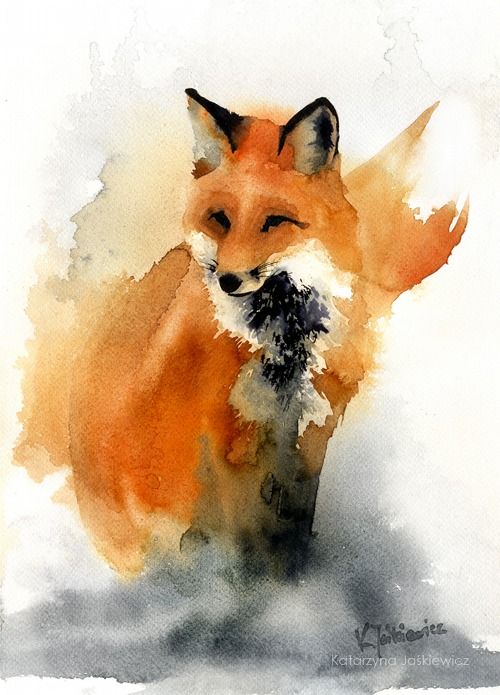 500x695 Red Fox Watercolor Art Painting By Katarzyna Jaskiewicz. This - Red Fox Watercolor