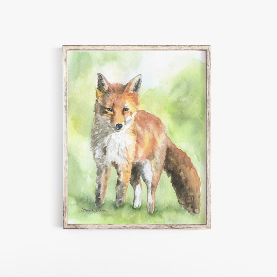 570x570 Red Fox Watercolor Painting Fine Art Print 5 X 7 Etsy - Red Fox Watercolor