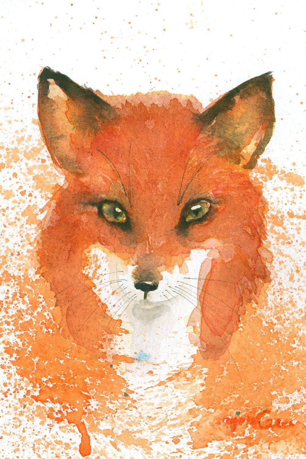 Red Fox Watercolor At Explore Collection Of Red