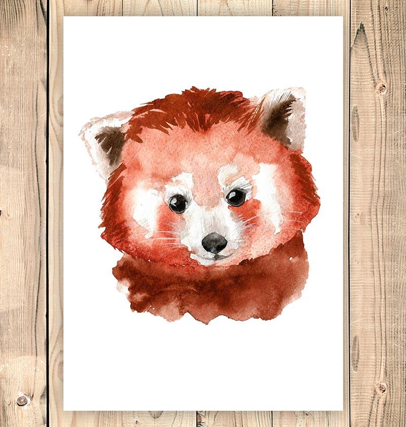 800x842 Red Panda Head Ii - Red Panda Watercolor
