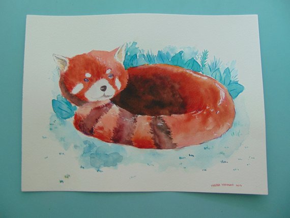 570x428 Red Panda Watercolor Painting Art Etsy - Red Panda Watercolor