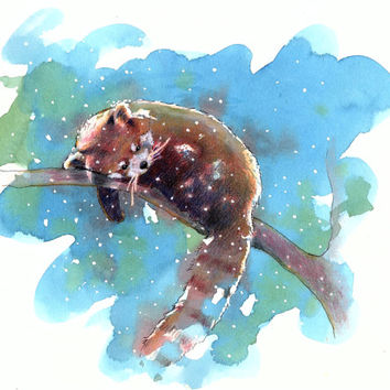 354x354 Red Panda Watercolor Painting Print Of From Meredithtalianart - Red Panda Watercolor