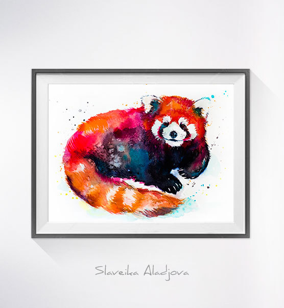 556x604 Red Panda 2 Watercolor Painting Print - Red Panda Watercolor