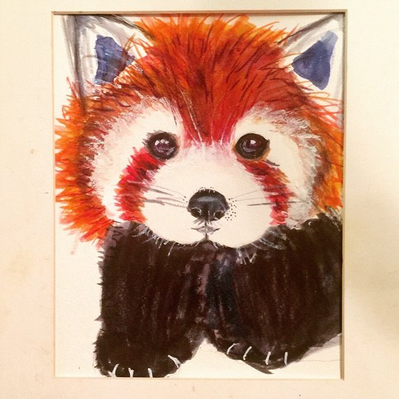 570x570 Original Baby Red Panda Watercolor Painting - Red Panda Watercolor