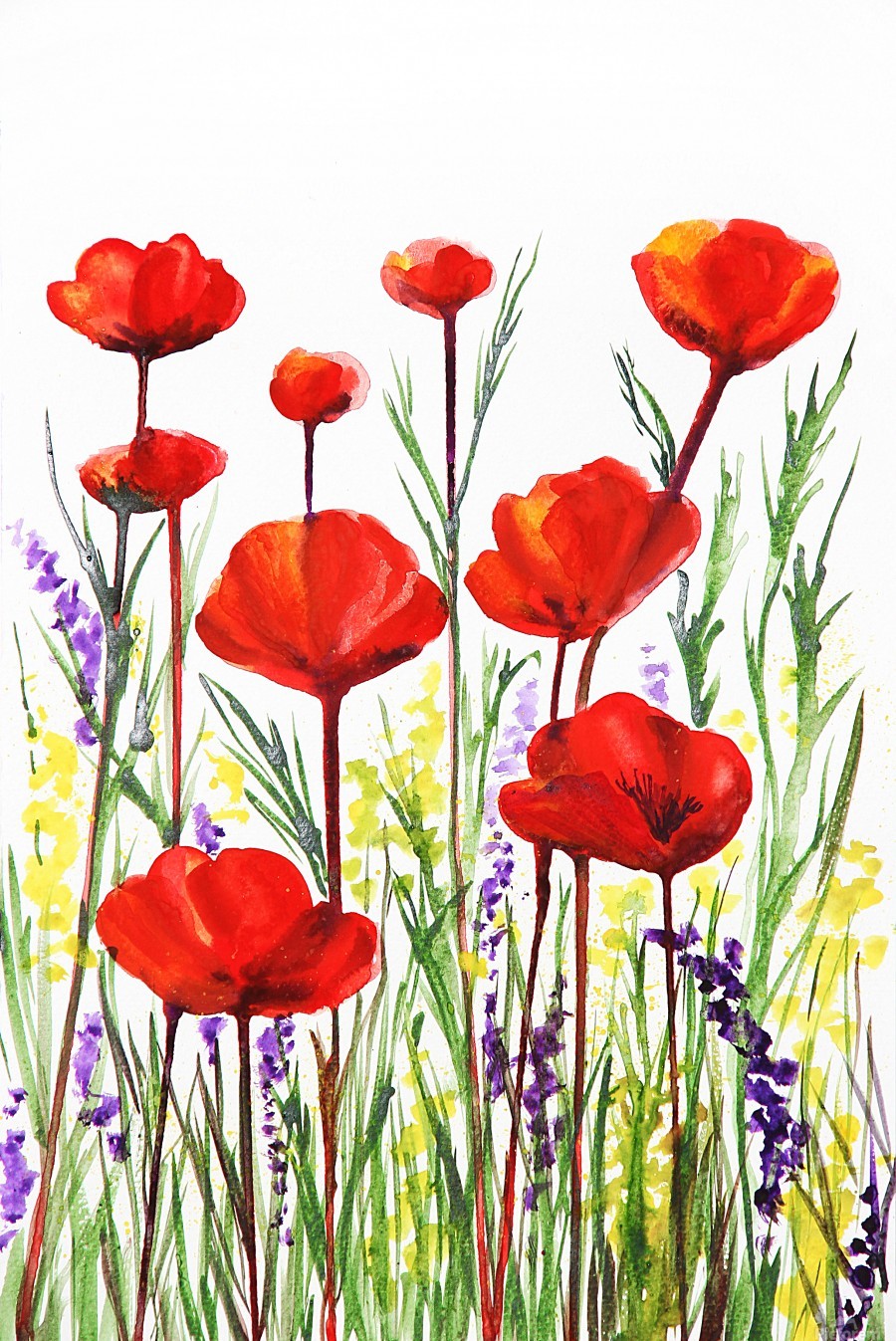 900x1347 Red Poppies And Lavender Field Watercolor - Red Poppy Watercolor