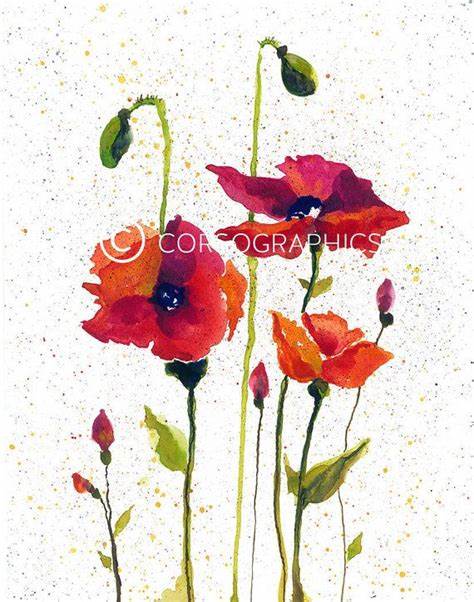 474x602 Red Poppy Watercolor. Pin Red Poppy Watercolor Tattoo - Red Poppy Watercolor