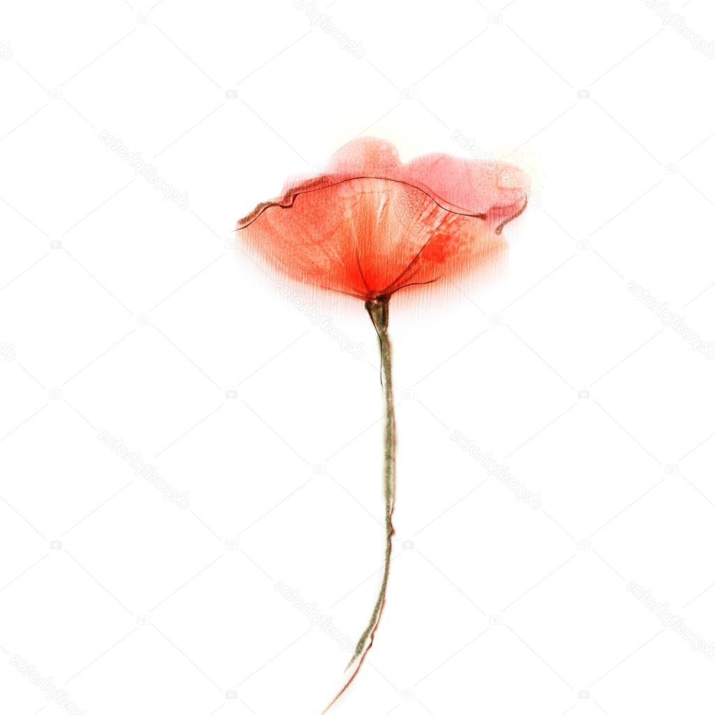 1024x1024 Watercolor Paintings Of Poppies Watercolor Painting Poppy Flower - Red Poppy Watercolor