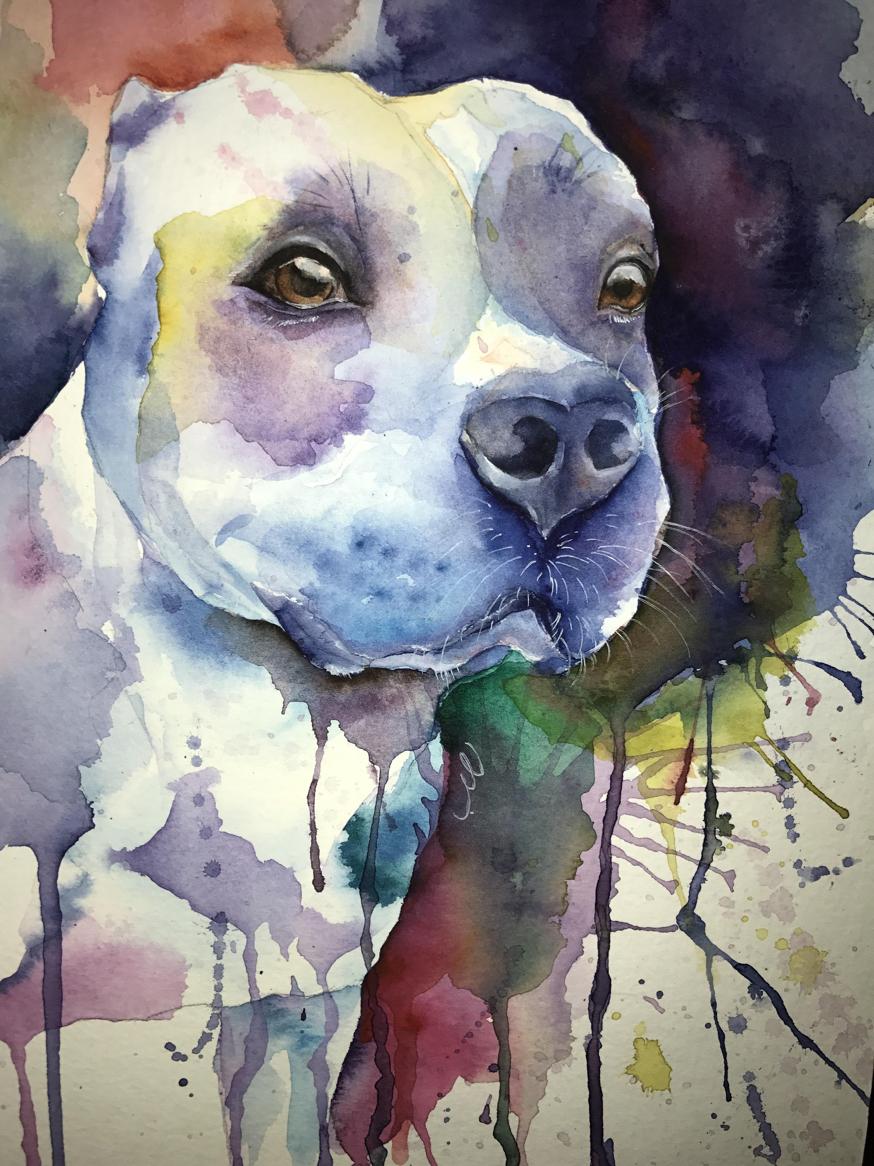 3024x4032 My Dog, Watercolour, A4 Art - Reddit Watercolor