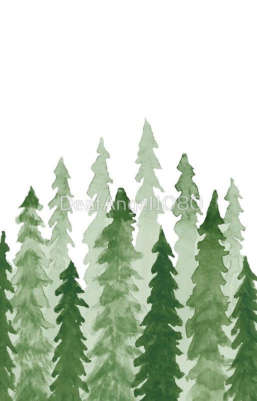 513x800 Watercolor Redwood Trees My Store Watercolor, Art - Redwood Tree Watercolor