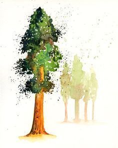 236x297 Watercolor Tree Painting - Redwood Tree Watercolor